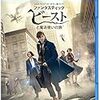 ファンタスティック・ビーストと魔法使いの旅 [Blu-ray]