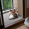 ベランダのふうけい