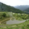 兵庫県香美町「西ヶ岡の棚田」