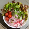 サラダ🥗