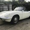  1964年式 Lotus elan S1 for sale