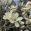 「才能」ゆえに傷ついた痛みは、与えることでしか癒せない。