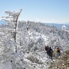 【北横岳】青空に樹氷が映える