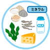 ミネラルに関する雑学！