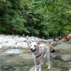 丹沢で残暑しのぎ