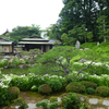 建仁寺塔頭「両足院」　-半夏生の庭-