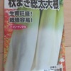 ３月の種まき 直播開始 その２