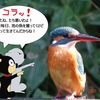 ミミズク先輩の孤独な戦い