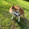 連休初日はのんびりと…