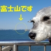 ❝富津岬(前編)❞　愛犬とおでかけ-千葉県観光🎵　　2021年2月23日①