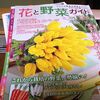 野菜と花の種の通販