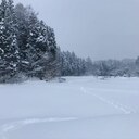 すだ畑の農日記