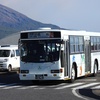 鹿児島交通(元西武総合企画)　1247号車