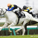 ゆる〜く競馬100%