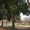 　砧公園・二子玉川