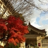 東京国立博物館には、楽しみが溢れています