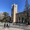 早稲田大学