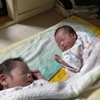長尾さんに可愛い双子の赤ちゃん誕生です。