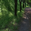 遊歩道