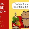 【YouTubeライブ「もなラジオ！」新春特別編 1月2日(日)21:00～開催決定】アメチカンのもなちゃんを紹介するにゃ 6