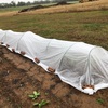 秋の長雨と低温対策で、不織布でトンネルを作りました…　