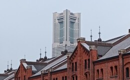 記事を見る