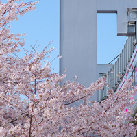 交通（軌道系）のアンテナ