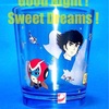 Good Night ! Sweet Dreams !
