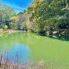 吉沢の池（神奈川県平塚）