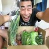 福島県平田村のひかりファームさんから新鮮なお野菜が届きました！