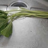 静岡で仕入れたワサビの茎・葉を調理した。原材料を仕入れてくる旅の醍醐味