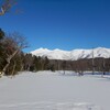 今日も良いお天気