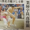 宇良、歴史に残る激闘で「大巨人」狩り！！北青鵬を破る