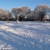 いつ作ったのかな、雪だるま。