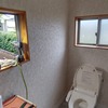 春ですね