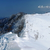 綿向山 － 青空に映える霧氷を見上げて （2014.1.18）