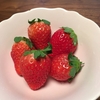 イチゴが食べたい が 高い