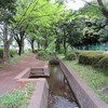 千川上水_葭窪橋（東京都武蔵野市・西東京市）