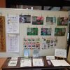 乙女高原展37「乙女高原のマルハナバチ」