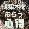 無料で配布される伐採木を取りに行く前に読むべき心得をまとめてみました