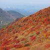 農園日誌ー葉野菜のシーズン到来