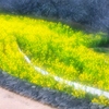 Kiyohara Soft VK50R