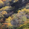 飛騨の紅葉　【天生峠】　vol 1