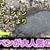 サーフでバイブレーション、ヘビーミノーよりシンペンが人気の理由