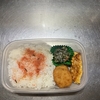 海老カツ弁当