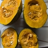 かぼちゃは追熟で甘くなる？9ヶ月の離乳食にも大活躍｜最後の収穫物を味わう