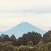 今朝の景色