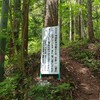 ヤマシャクヤクを探して　虫倉山