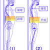 筋膜リリースのボディワークの真骨頂。　体軸の正しき垂直を得て保つためのサポートが得意なんです。