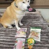 連休は燻製&長距離お散歩です。